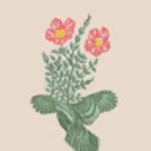 Meet your Posher, Krissy